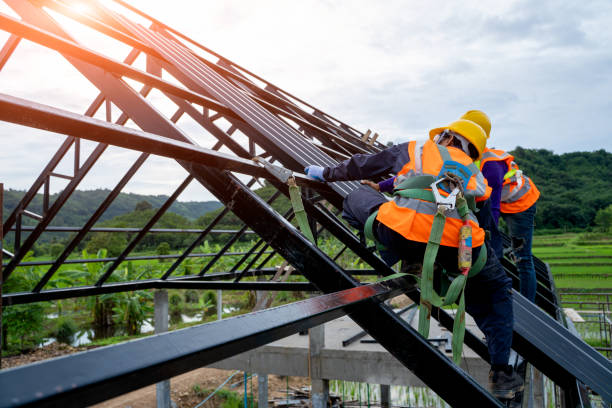 Professional Roofing Contractor in Unicoi, TN